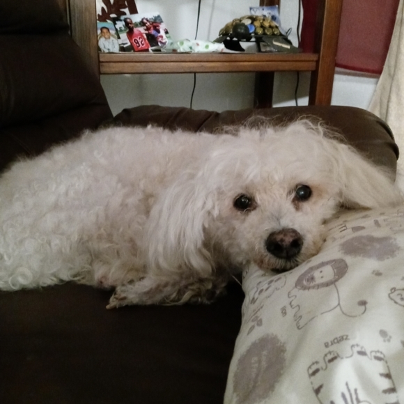 EVERYTHING MUST GO ! - Picture 3 of 3